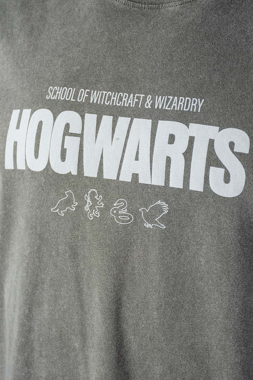Card slide image -  CAMISETA DE HARRY POTTER GRIS REGULAR FIT PARA HOMBRE