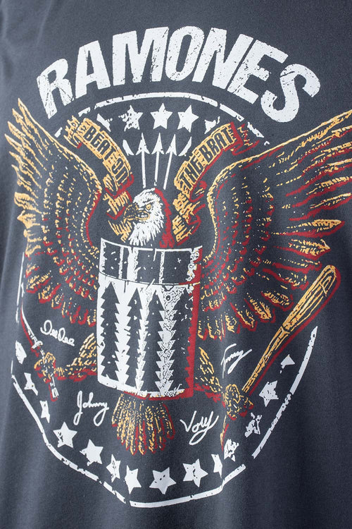 Card slide image -  CAMISETA DE RAMONES REGULAR FIT PARA HOMBRE